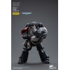 JoyToy Space Marines - Raven Guard - Intercessors Brother Nax 1/18 - Warhammer 40K