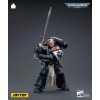 JoyToy Space Marines - Black Templar - The Emperors Champion Bayard's Revenge 1/18 - Warhammer 40K