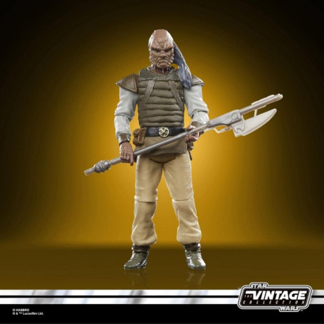 Hasbro - Star Wars The Vintage Collection - Weequay (Pagetti Rook) - ROTJ 40th Anniversary