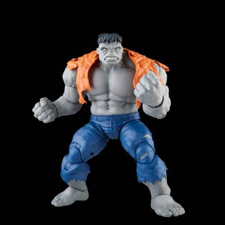Marvel Legends - GRAY HULK & DR. BRUCE BANNER - Avengers: Beyond Earth's Mightiest