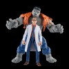 Marvel Legends - GRAY HULK & DR. BRUCE BANNER - Avengers: Beyond Earth's Mightiest
