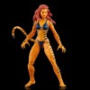 Marvel Legends Series - The West Coast Avengers Collection 5 Pack